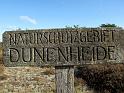 02, Hiddensee (19)